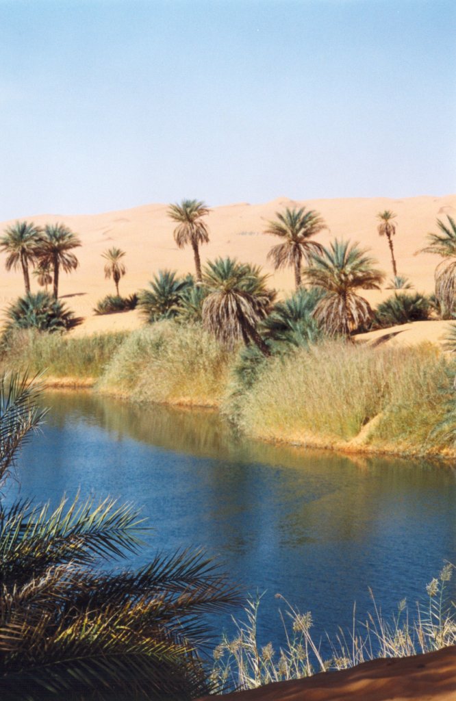 Libia - Oasi del deserto