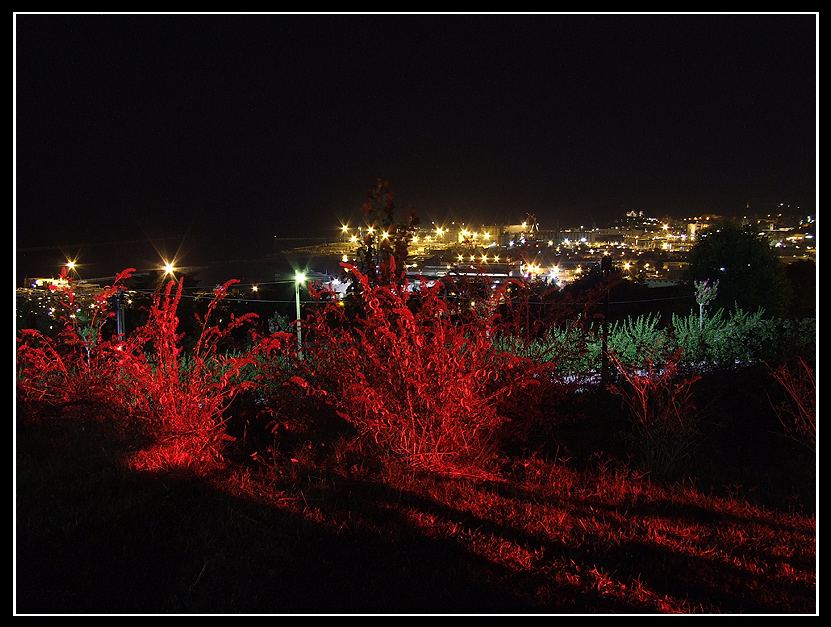 Notturno di Ancona2