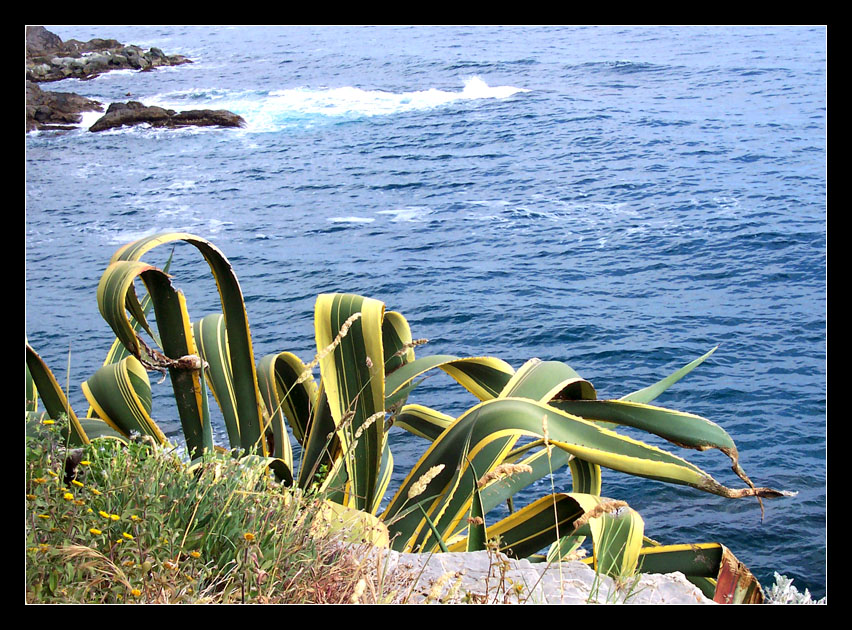 vista sul mare