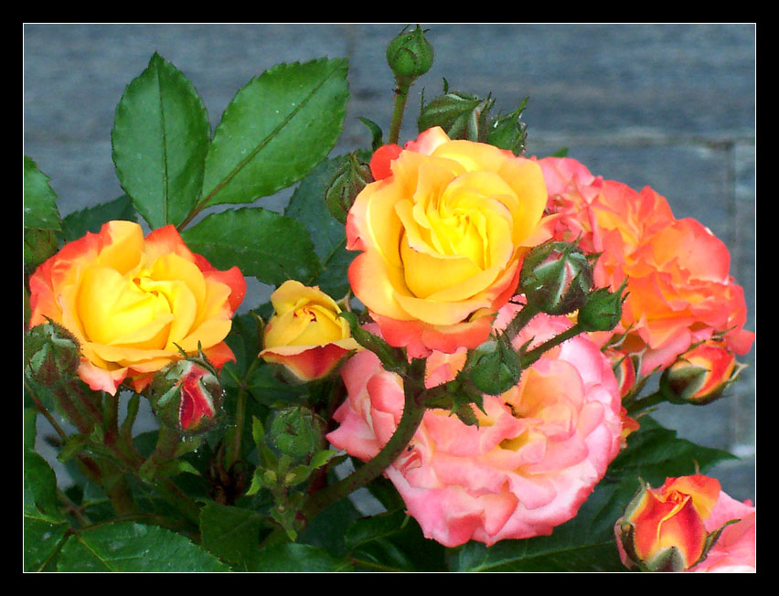 colori caldi