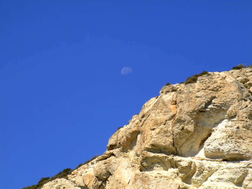 Luna di giorno