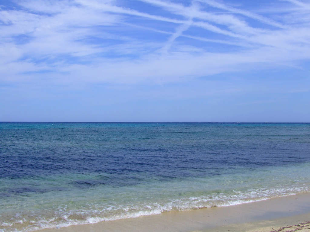 Sea