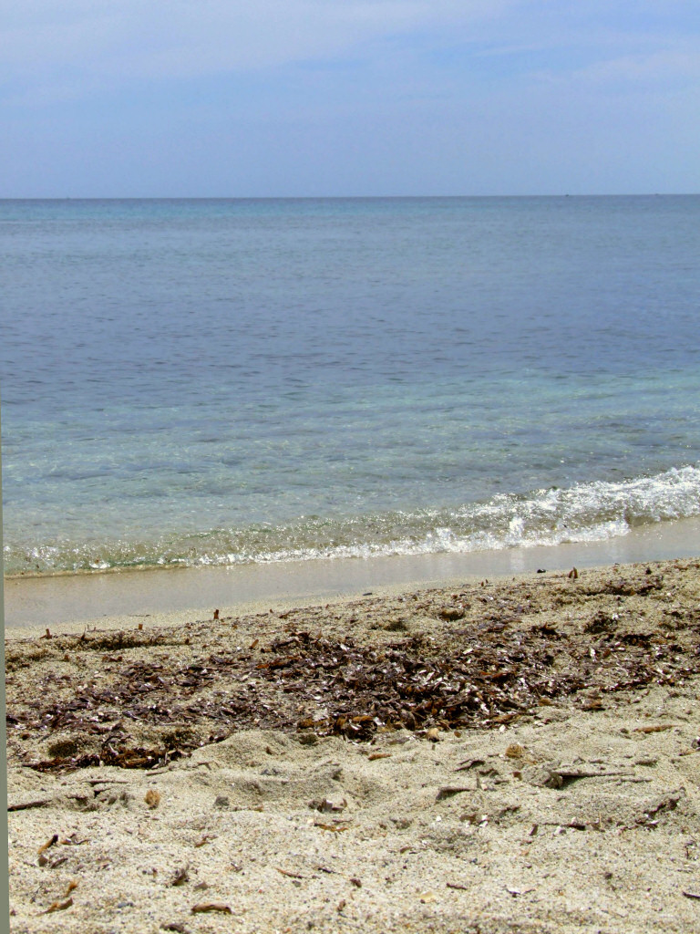 sea2