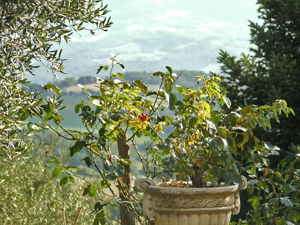 Un p di verde nel verde