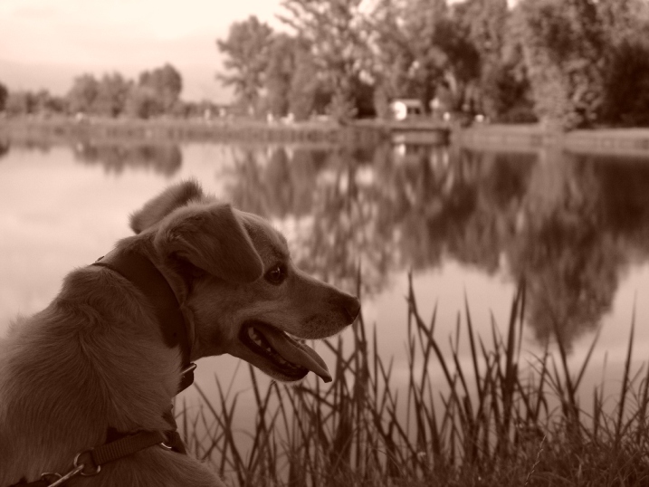 il mio Toby ;o)