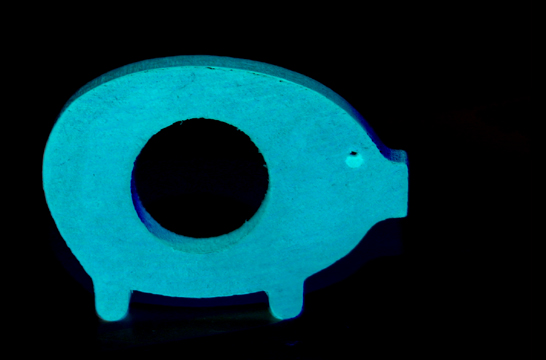 PiG