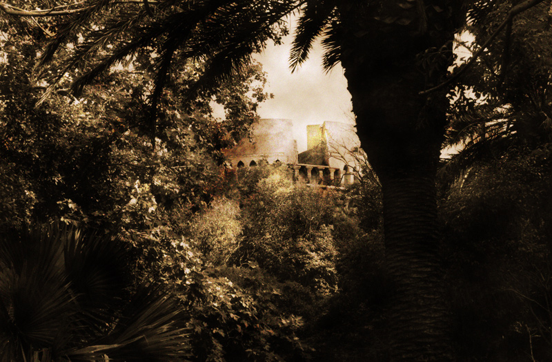 Castello tra alberi 2