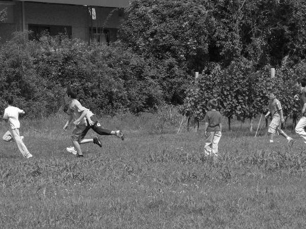 calcio