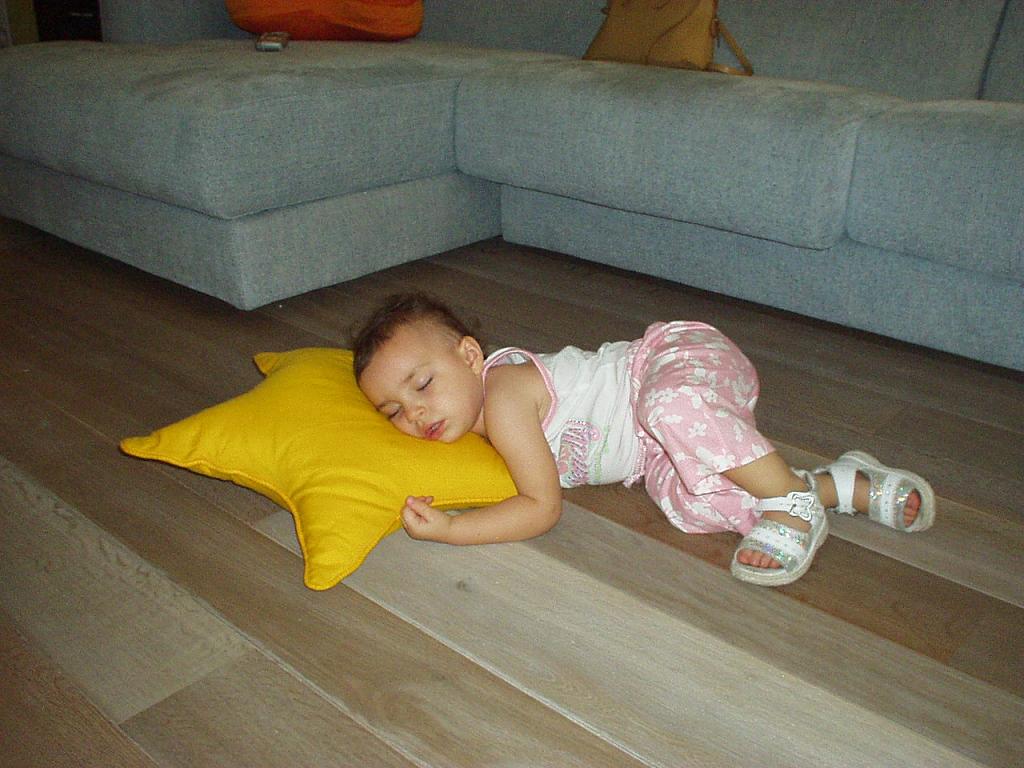 Dorme