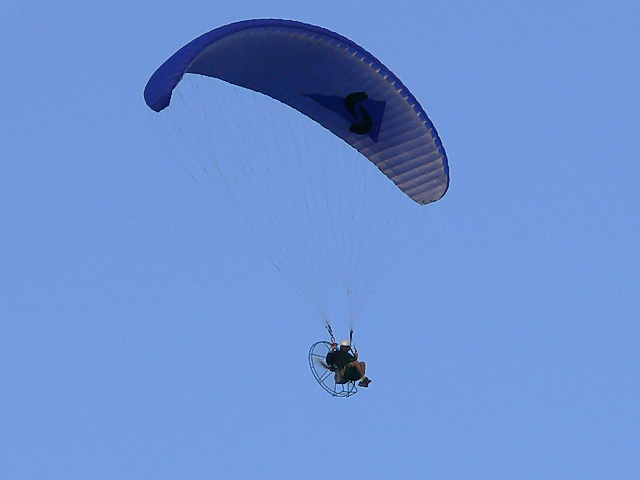 Volando