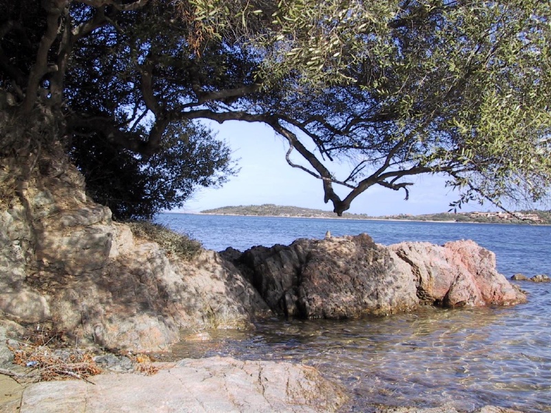 paesaggio