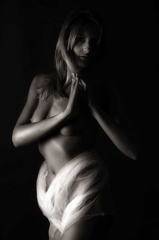 Elisa