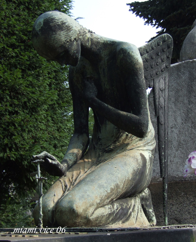 angelo con fiore