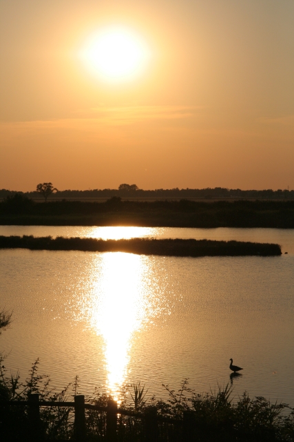 Marano Lagunare - Oasi WWF