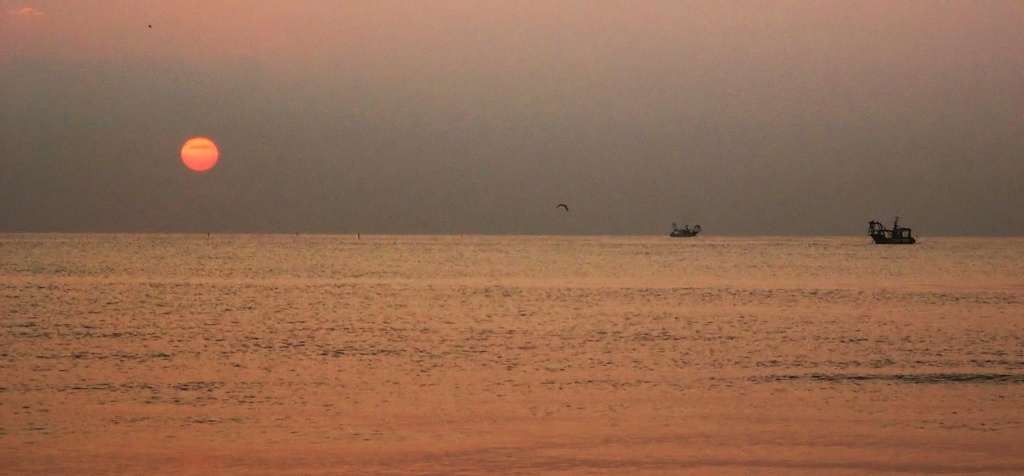 Alba