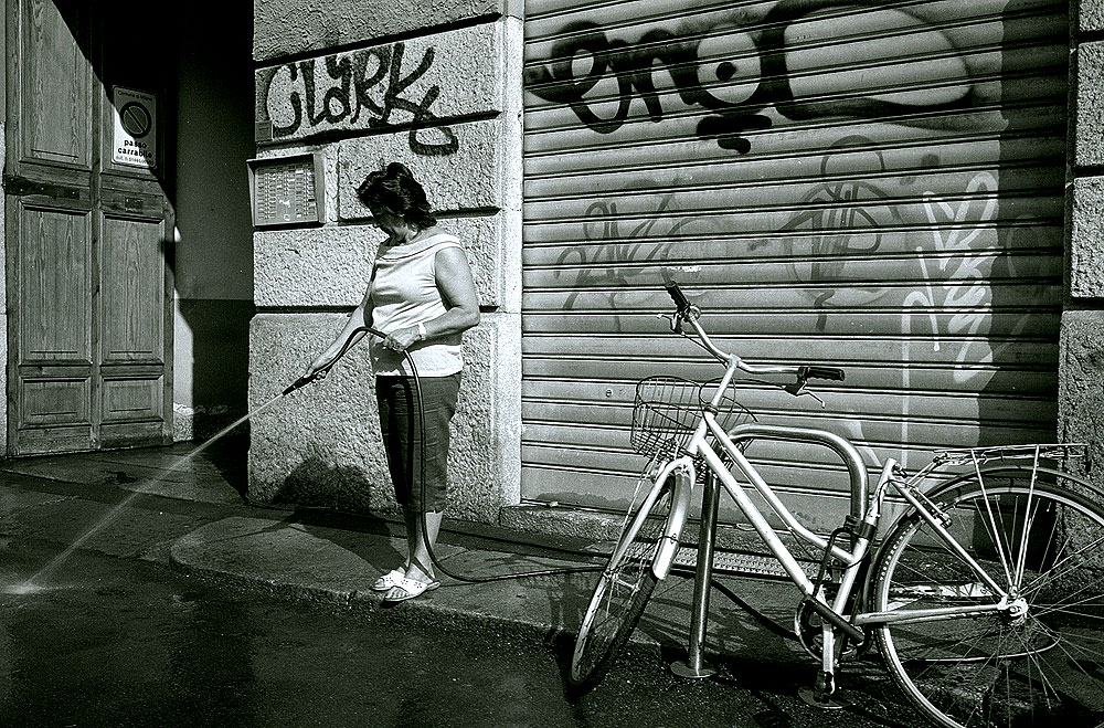 la sciura du trottoir