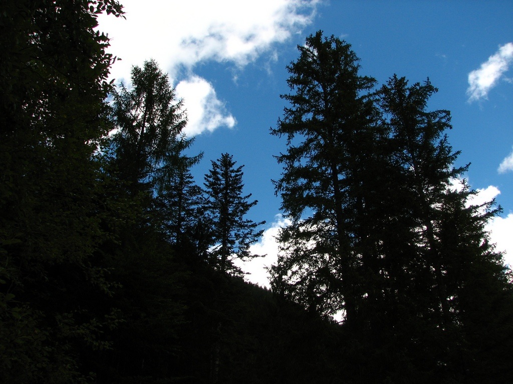 Controluce 2