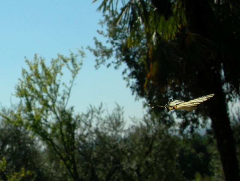 Fine dell'amicizia