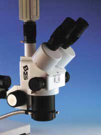 Microscopio