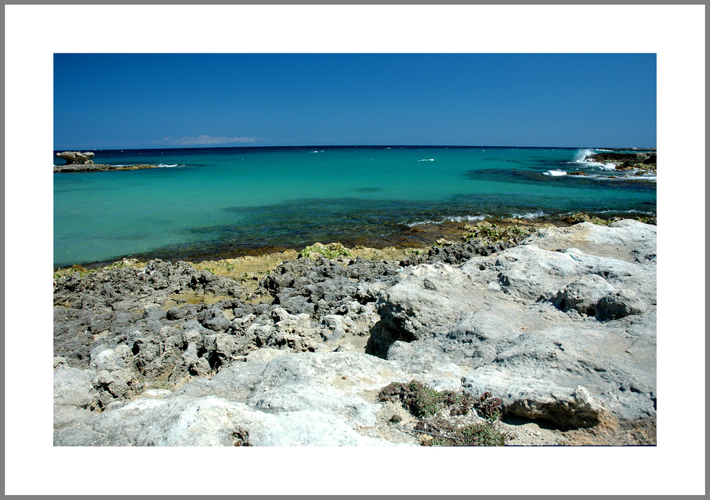 mare