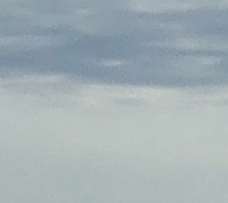 Crop 3 b