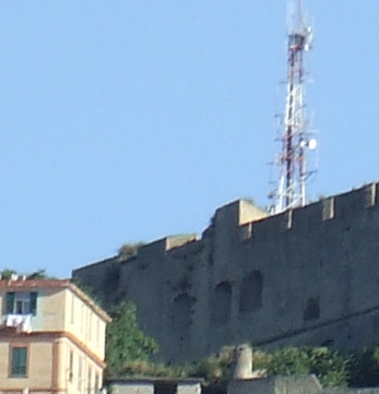 Crop 4
