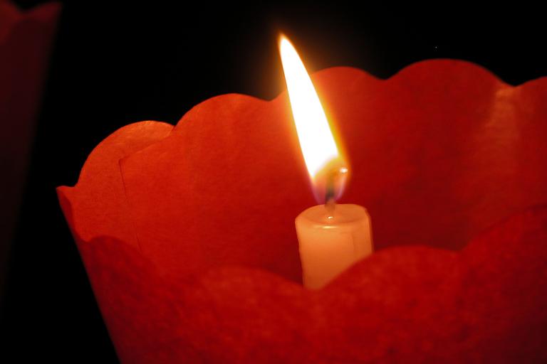 Luci - 2