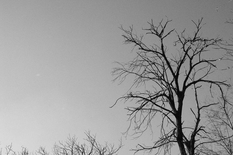 Natura B/W