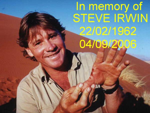 Addio amico mio