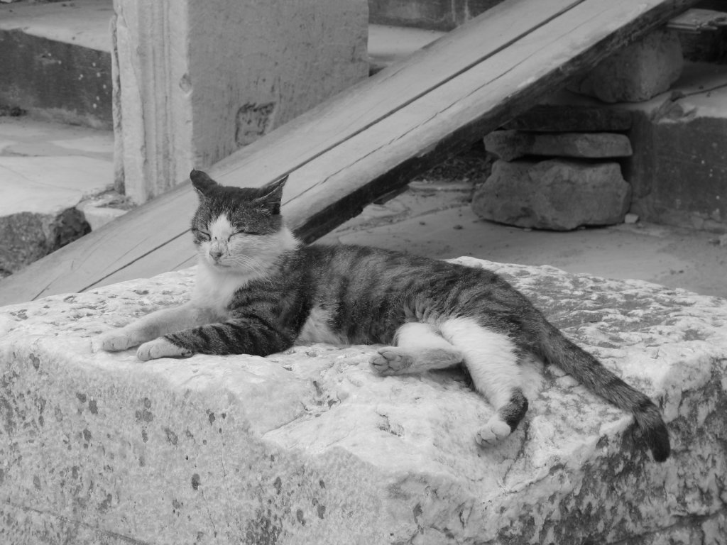 Lasciatemi dormire!