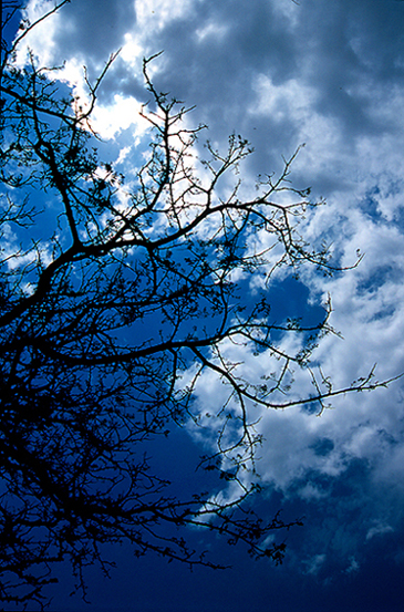 la terra abbraccia il cielo