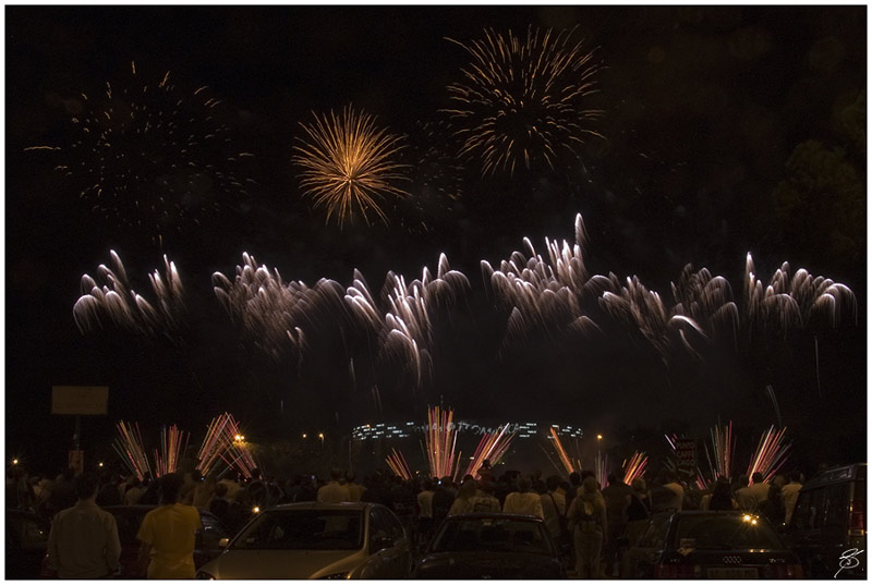 Fuochi d'artificio #15
