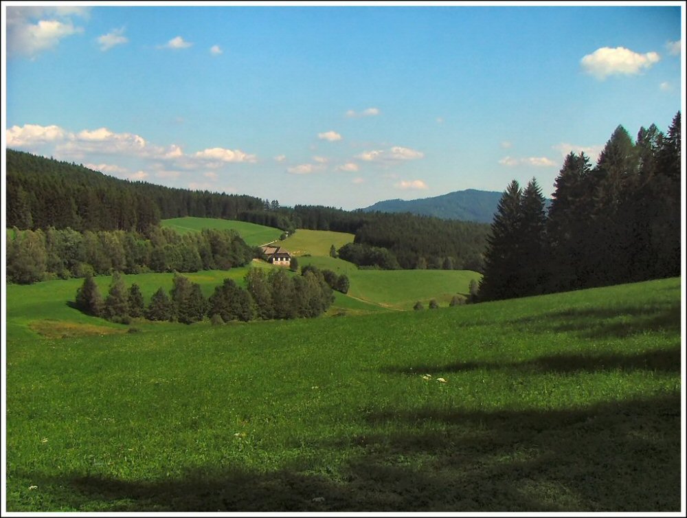 Prati e pascoli