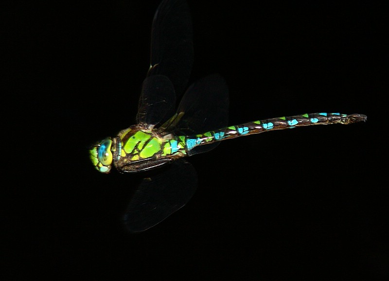 Volo dinamico ... anche troppo