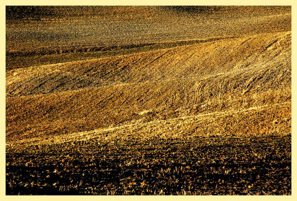 sfumature di terra