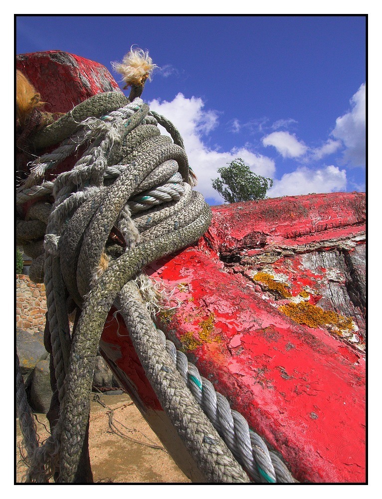 boat5