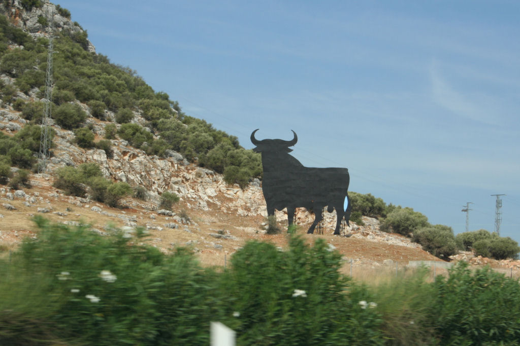 Toro