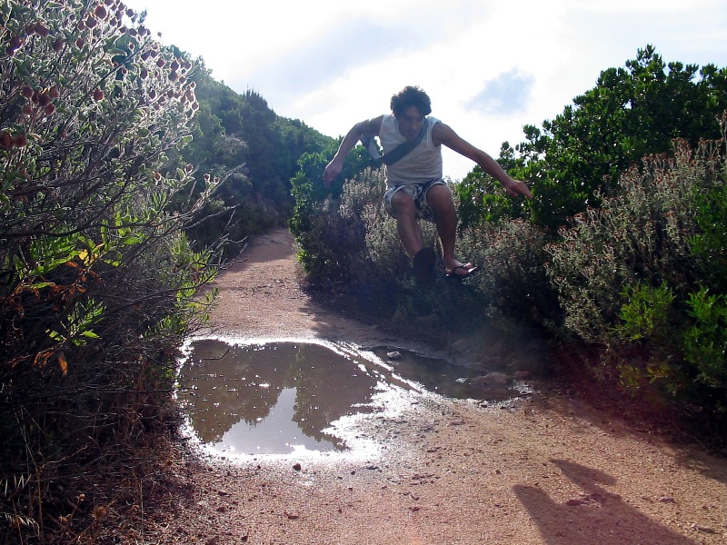 salto di qualit