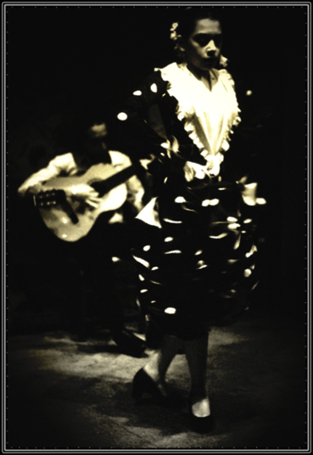 flamenco