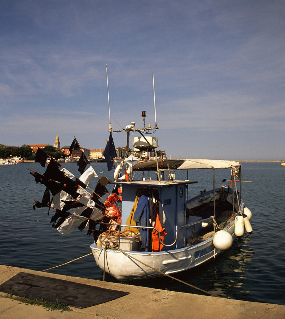 Barca da pesca