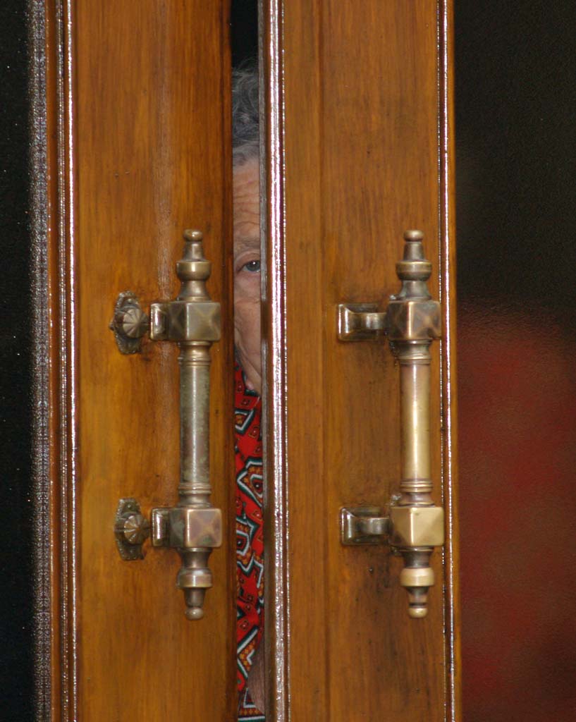 diffidenza
