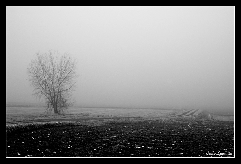 Inverno 26