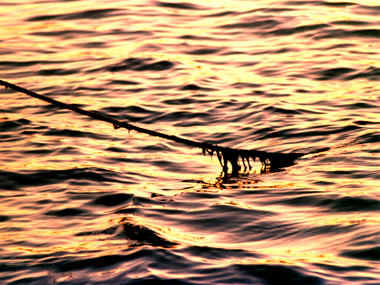 Legato al mare...