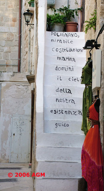 Poeti Muti