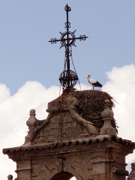 Salamanca - Spagna
