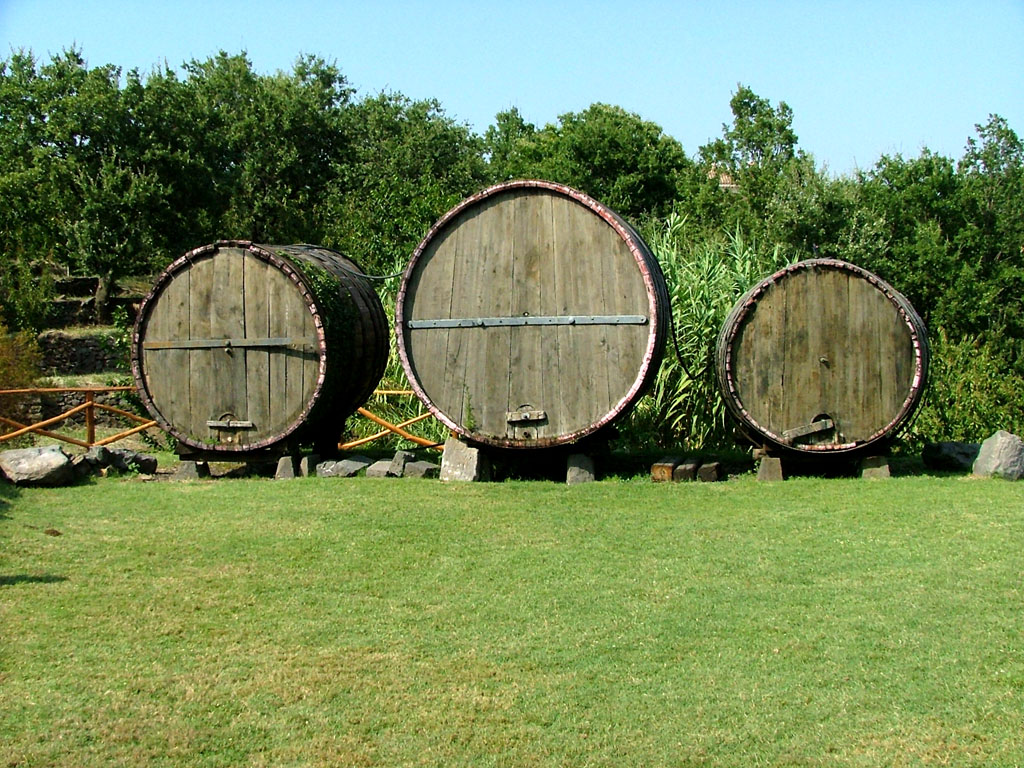 Le botti di casa Perrotta (Milo)