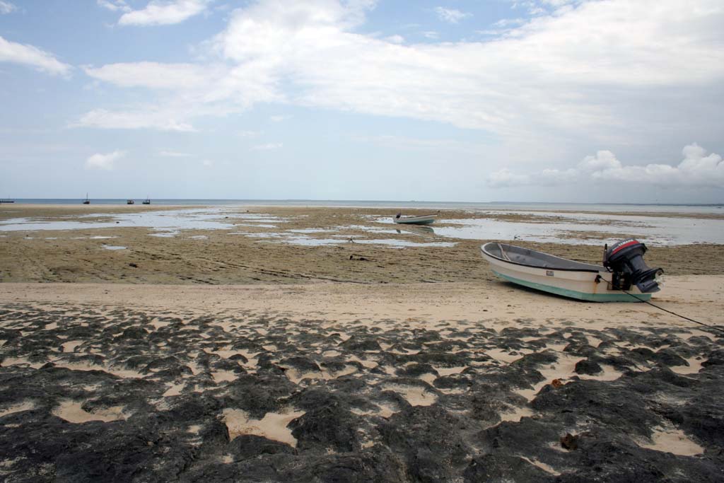 Bassa marea