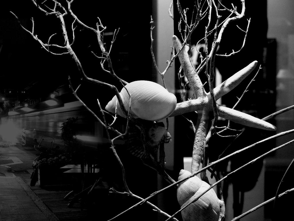 Carouge la nuit 3