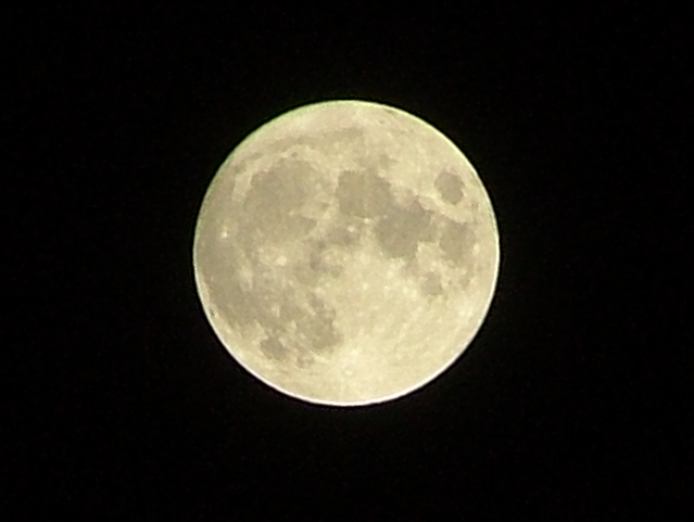 lunacrop2