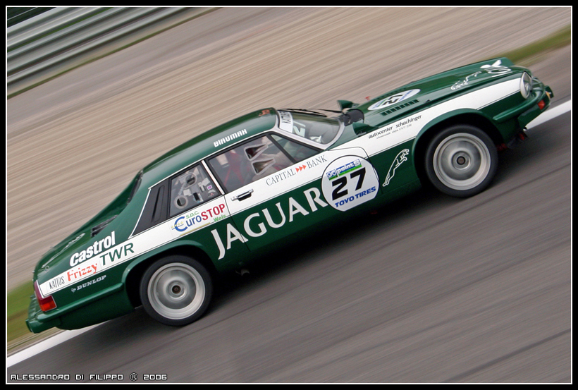 Jaguar - Histo cup